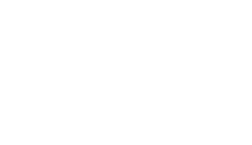 logo Pisani più Schietti