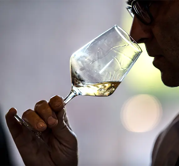 i pisani piu schietti degustazioni guidate e immersive