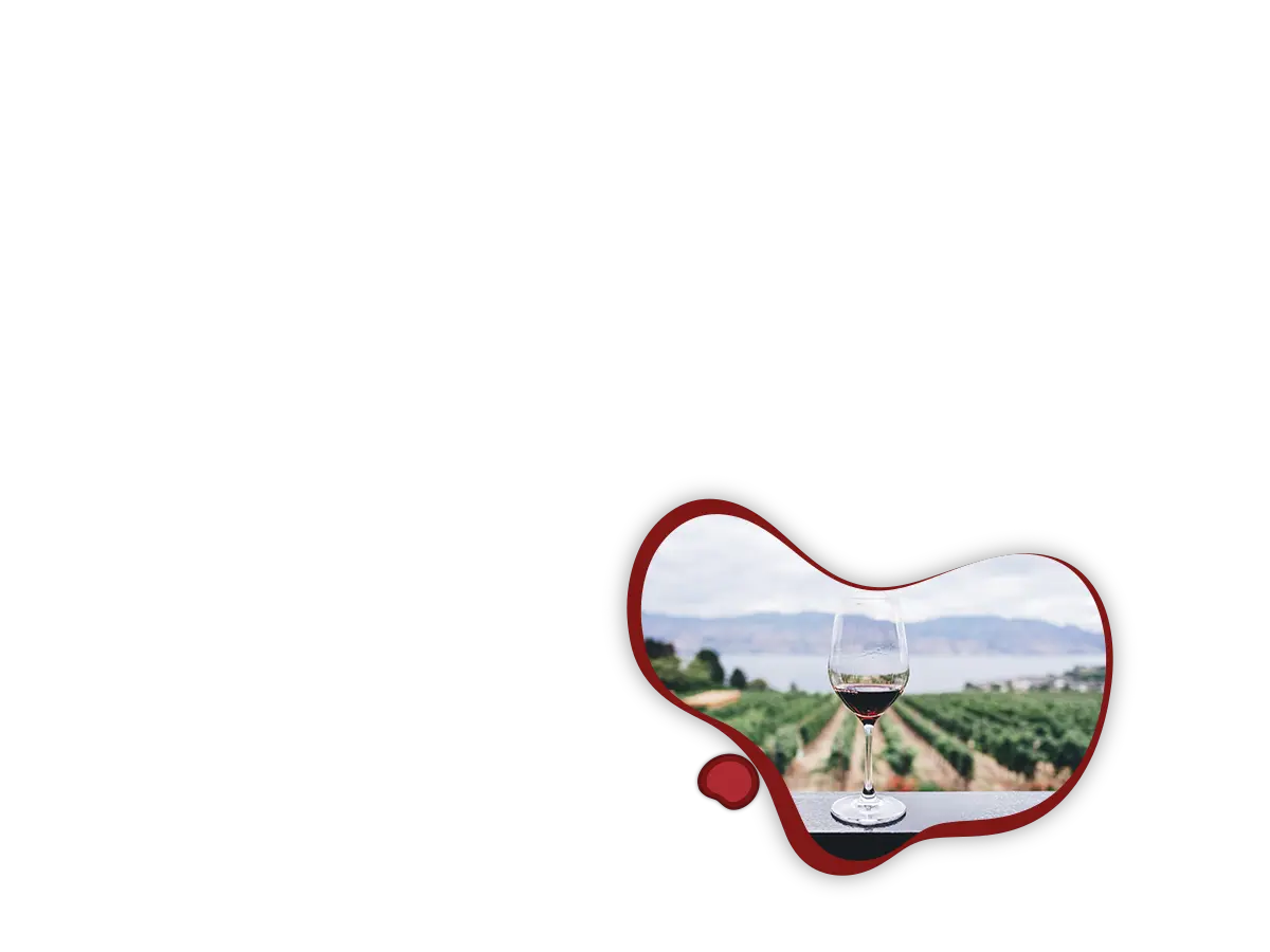 denominazioni vini pregiati pisani
